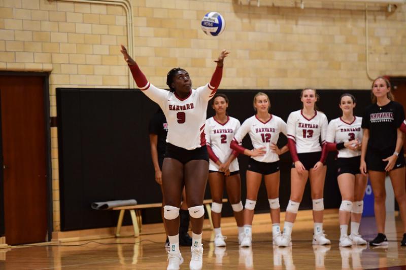 Sope Adeleye (front) decided to study neuroscience before coming to Harvard, but she didn’t choose a research track until after she experienced a concussion on the court.