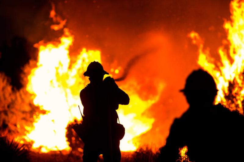 Firefighters battle the Bobcat Fire in Juniper Hills, Calif.