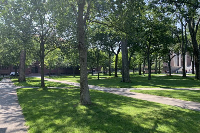 The sun shines through the trees on a sunny summer day in Harvard Yard