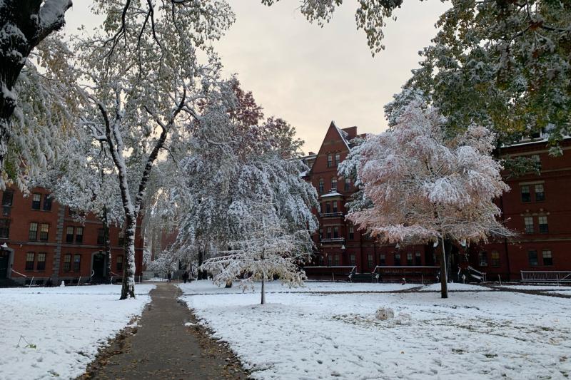 Harvard Yard covered in snow 