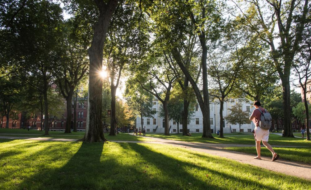 A student walks through Harvard Yard at dusk