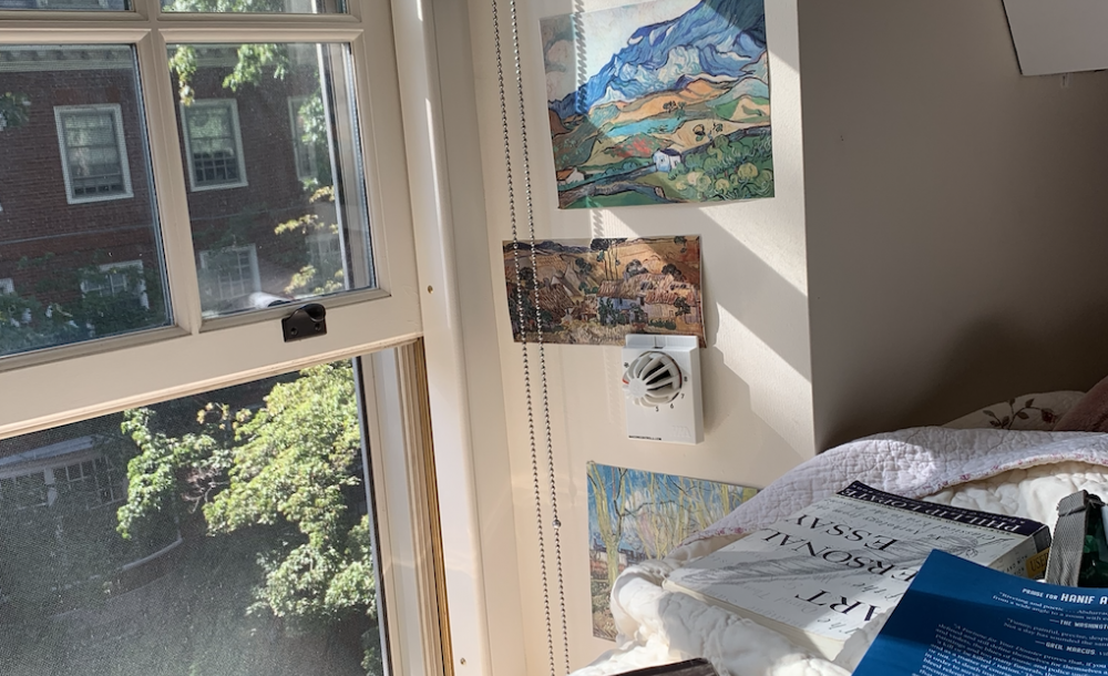 books scattered across a bed and a view of trees and sunlight through the window