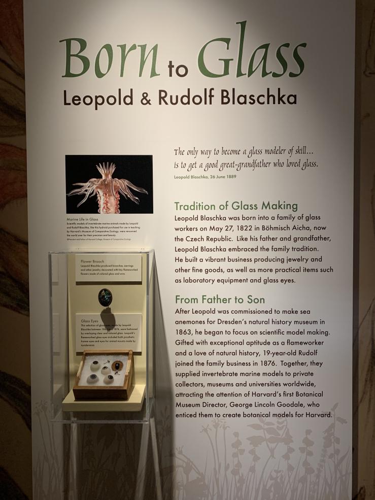 Picture of an information panel about glass making