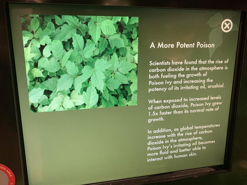 Picture of an electronic display showing a picture of poison ivy and supporting text regarding carbon dioxide