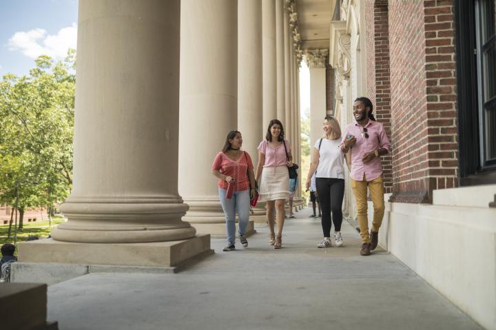Four students walking outside of Widener Library