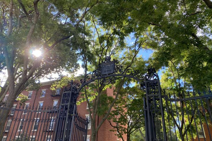 An elegant wrought iron gate with decorative elements, partially open. The Harvard gate has a detailed crest at the center top and appears to be quite old. Above the gate, lush green trees create a canopy, with the sunlight filtering through the leaves, creating a play of light and shadow. The sun is visible through the trees, adding a warm, bright spot to the upper left corner of the image. In the background, a red brick building with white framed windows can be seen, which complements the historical feel.