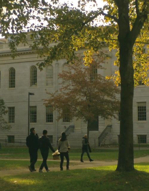 A group of people walk across a path cut between grassy areas and trees in Harvard Yard. 