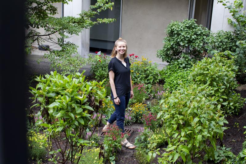 Christiana Akins from the Office for Sustainability worked with students to create rain gardens at Mather and Leverett Houses. The gardens help to alleviate some of the water puddling after rainstorms
