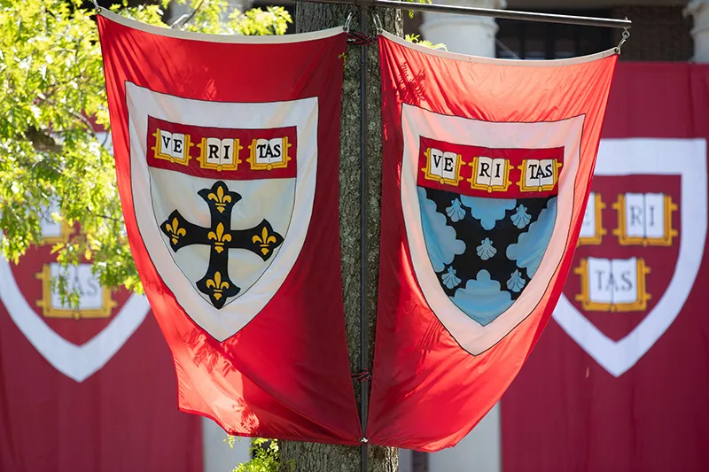 havard banners