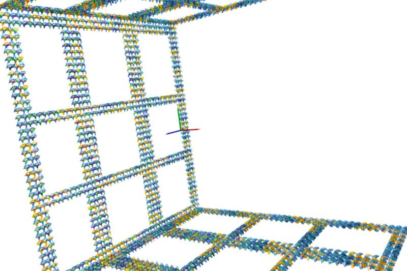 A 3D model of the DNA microstructure the iGEM team is building using computational biology techniques.