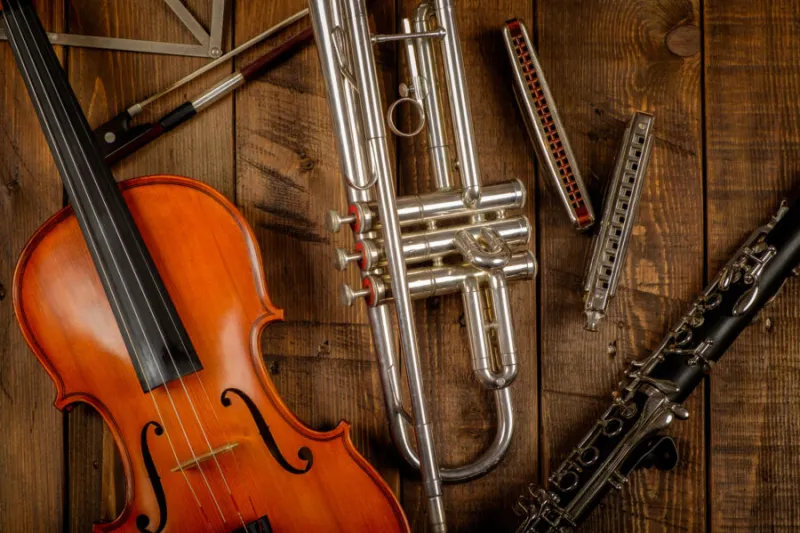 A variety of instruments.
