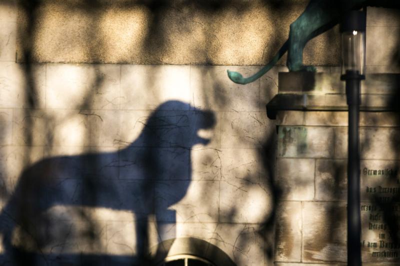 A lion guards the courtyard of Adolphus Busch Hall. The statue is a replica of Braunschweiger Löwe, or Brunswick lion, a cast of the 12th-century bronze from Germany.