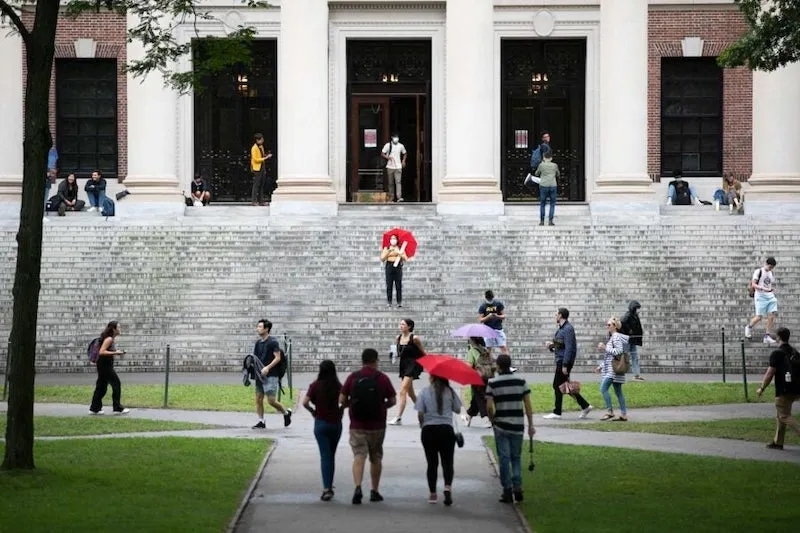 The Harvard Culture Lab Innovation Fund program provides seed grants to create projects that advance diversity, equity, and inclusion on campus.