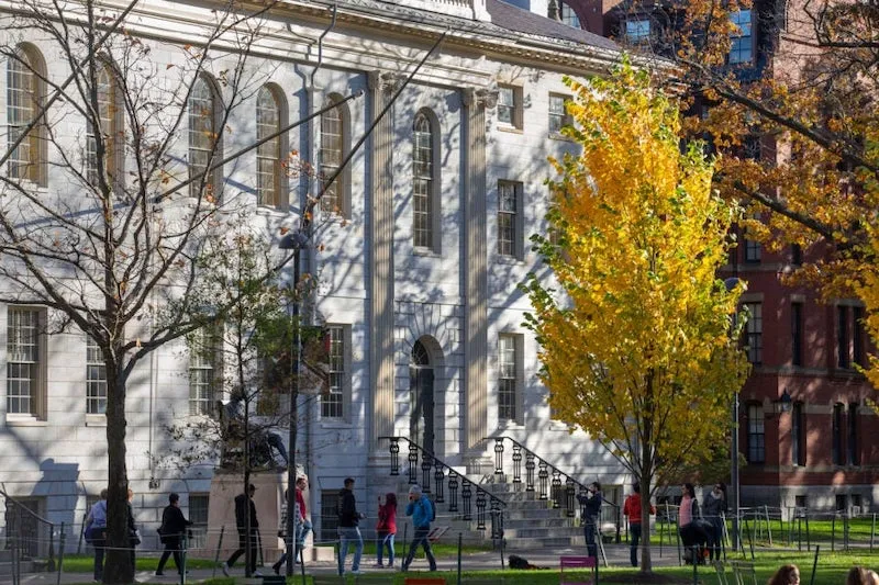 The success of the pandemic planning process motivated Dean Claudine Gay to create the FAS Study Group.