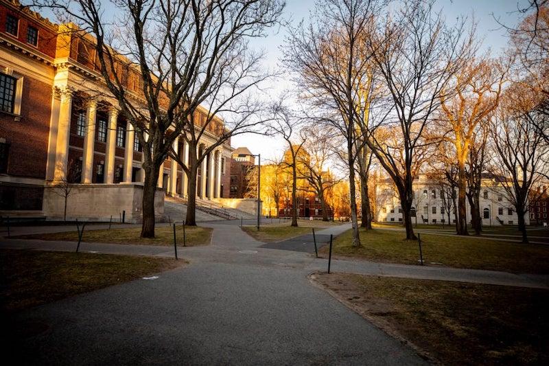 The FAS Committee on Visual Culture and Signage will address the task force’s recommendations to create a more visually inclusive campus.