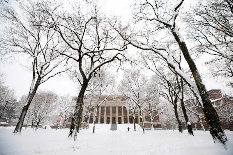 Widener Library in Harvard Yard following the first snow of the year.