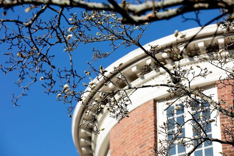 Spring comes to campus with blooming magnolias at Fay House.