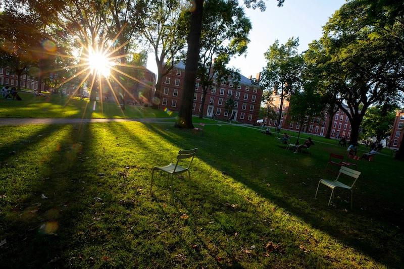 Harvard Yard with the sun shining through the trees.