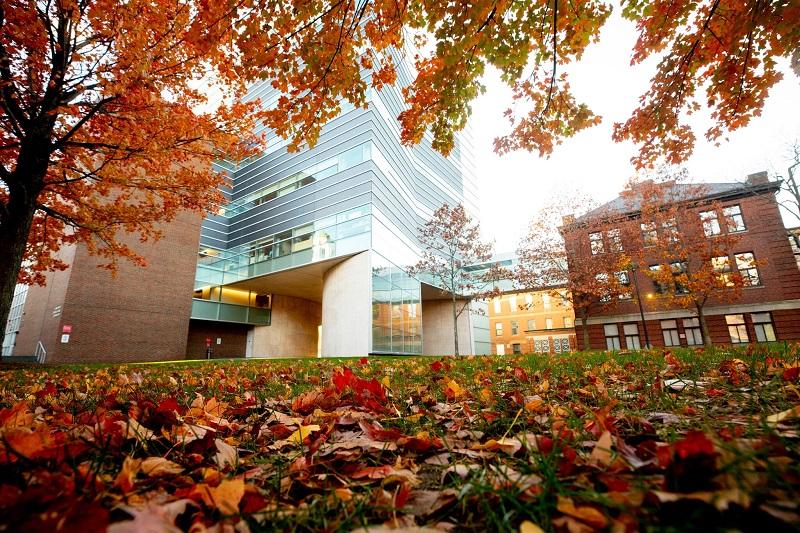 Harvard building in autumn