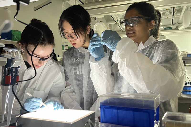 Three students, Mikhal Shvartsman (Lincoln-Sudbury High School), Emily Kuang (Lexington High School), and Aditi Rajvanshi (Lexington High School), all wearing eye protection and lab gowns, work in a laboratory to assess the results of their CRISPR/Ca9 gene-editing experiment. The two students on the left gaze at a bright screen on the table while the student on the right turns over a Petri dish in her hands.