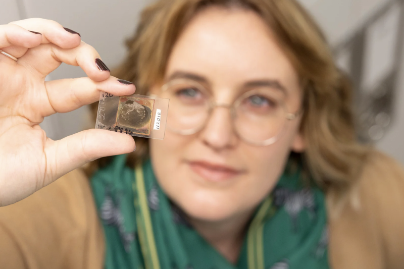 Sarah Losso with one of the trilobite glass slides.