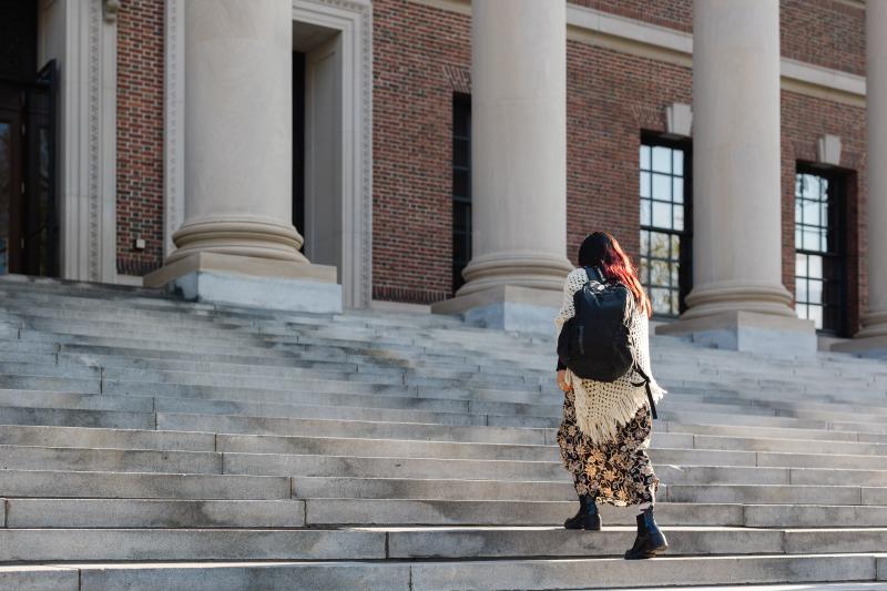 A student climbs Widener Library steps pn the way to study.