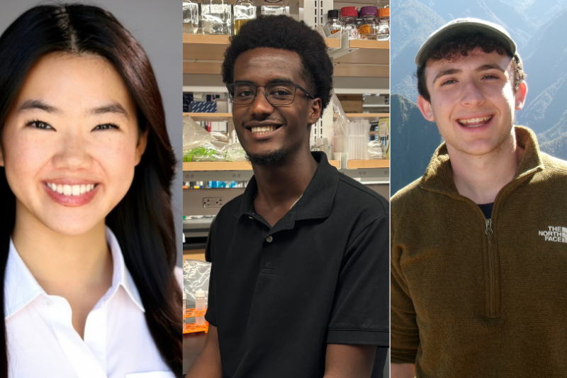 3 separate headshots side by side. From Left to Right: Lauren, Yerosen, Benjamin.