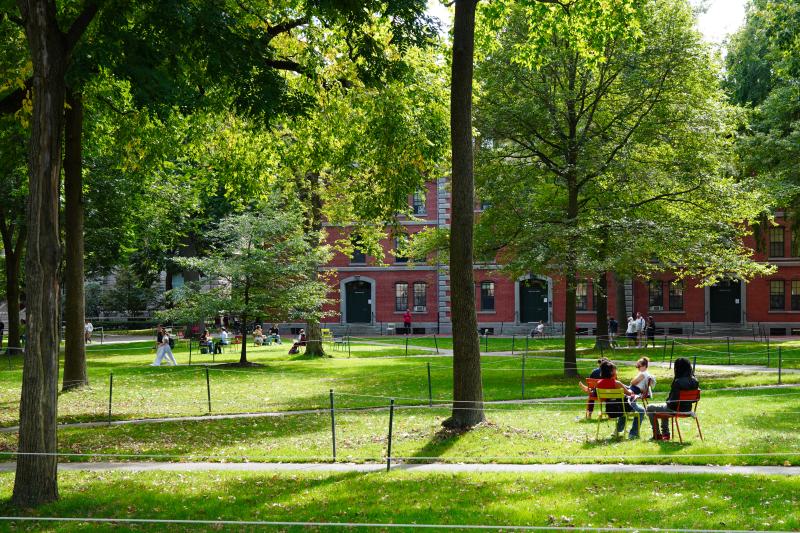 Students on chairs and paths in a sunny, tree-filled campus yard with red-brick dorms behind.