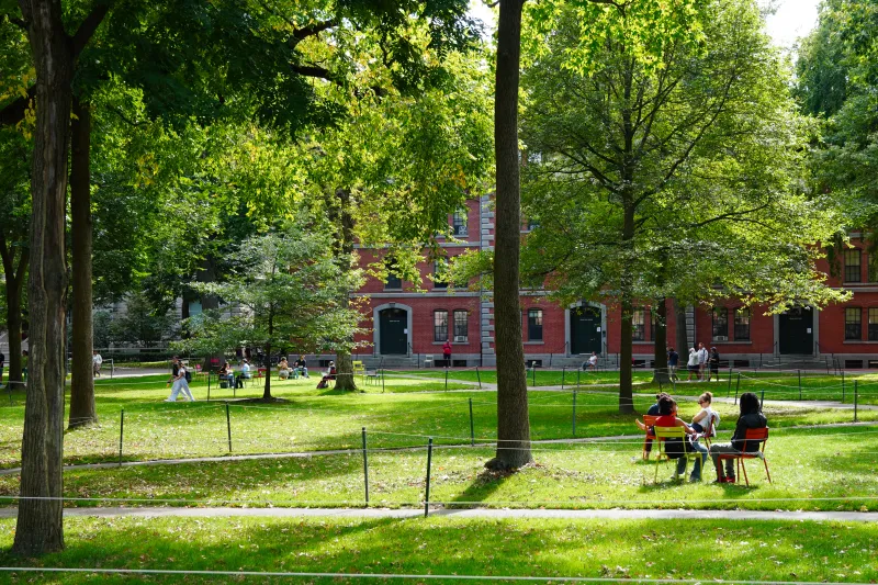 eople sitting in colorful lawn chairs and walking along paths on a sunny day in Harvard Yard.