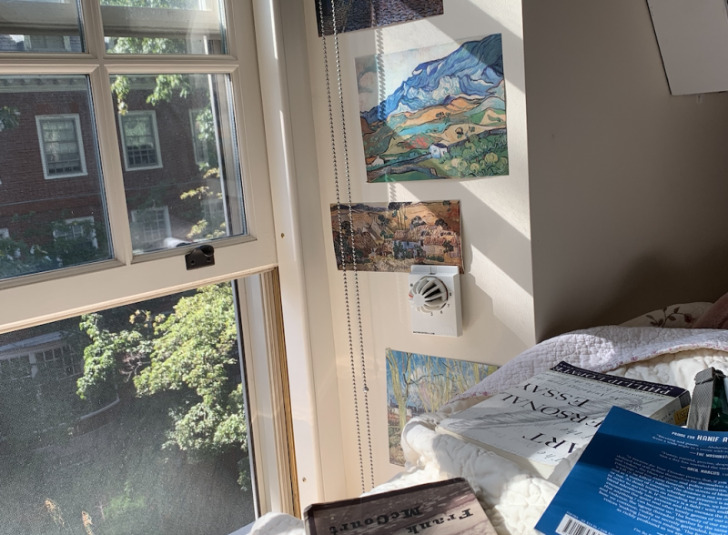 books scattered across a bed and a view of trees and sunlight through the window