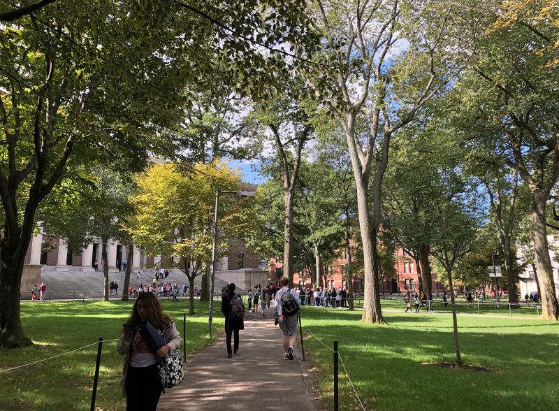 outside walking to classes on a sunny day with bright green trees and grass