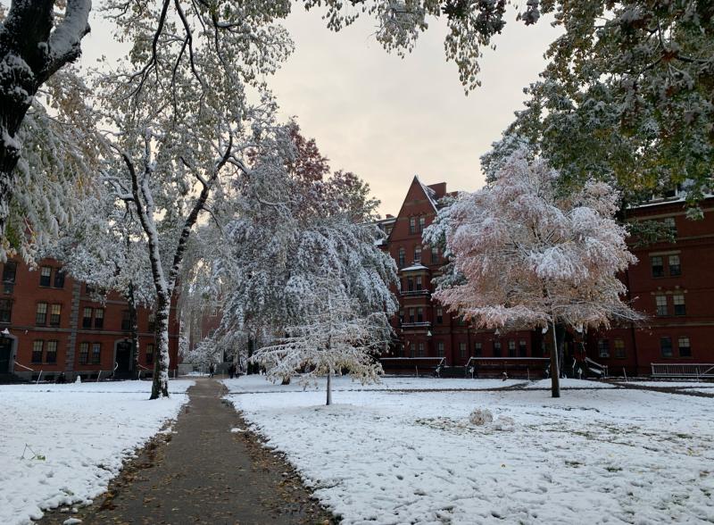 Harvard Yard covered in snow 