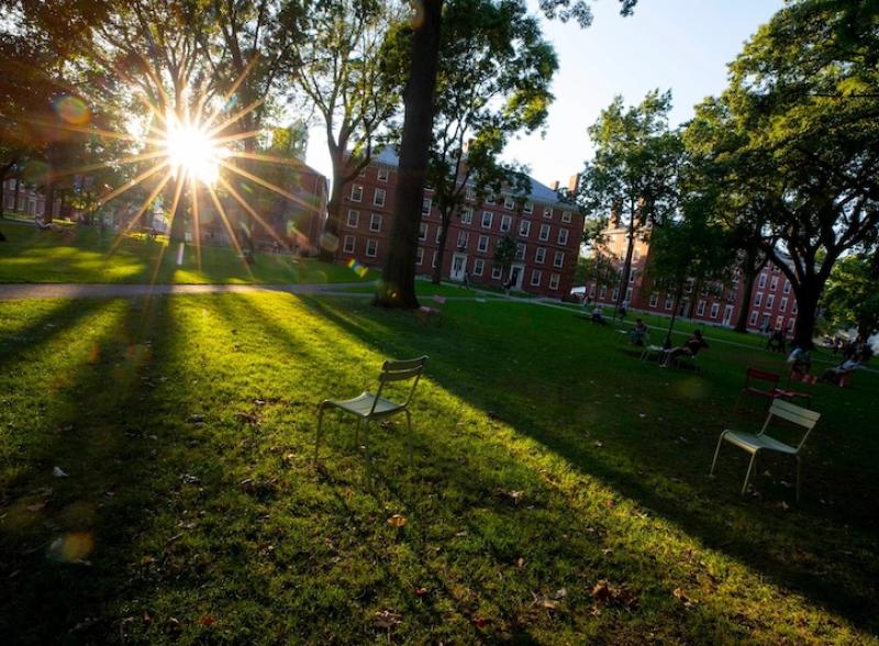 Harvard Yard with the sun shining through the trees.