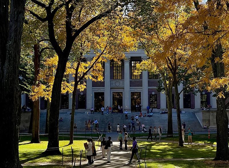 students walking in front of Widener Library during the Fall. Leaves are yellow and orange
