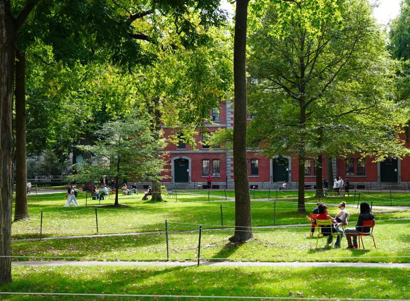 eople sitting in colorful lawn chairs and walking along paths on a sunny day in Harvard Yard.