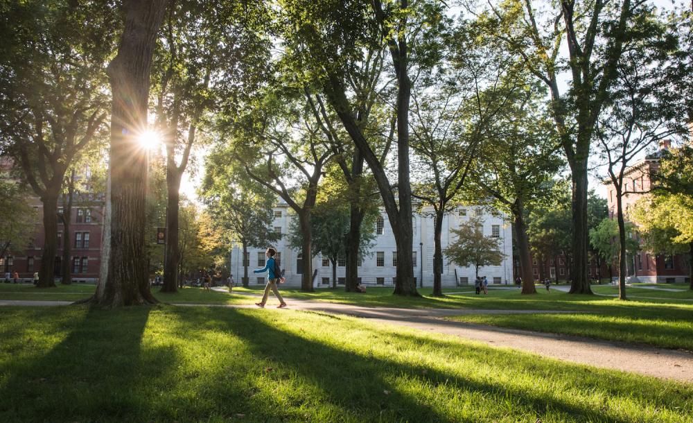 Student walking through Harvard Yard