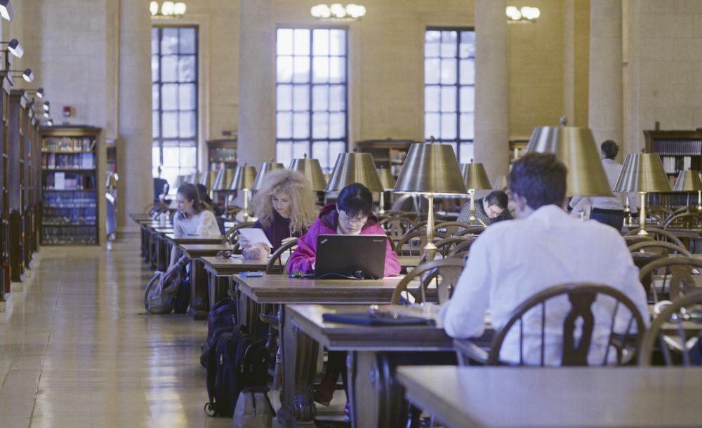 Students studying in Widener Library