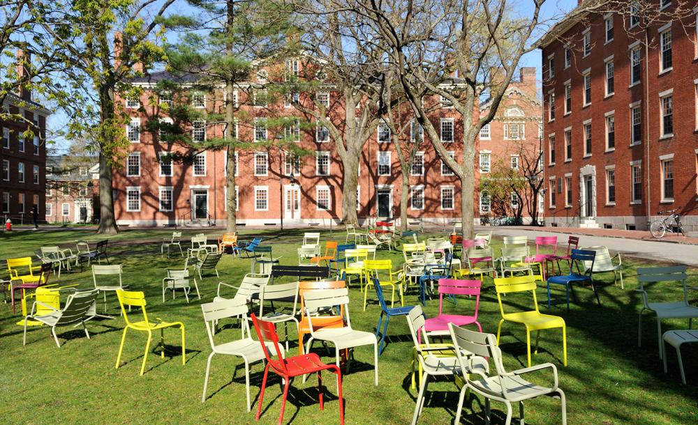 chairs in harvard yard