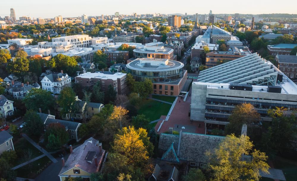 Bird's Eye Perspective  Harvard Medical School