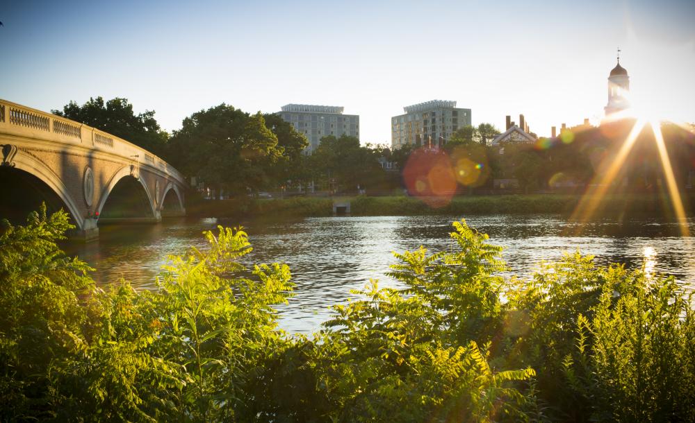 View of Campus from Charles River