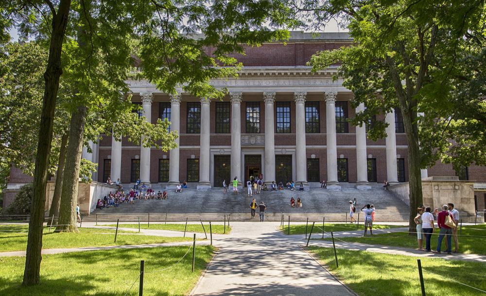 widener library