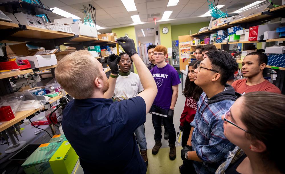 students during wintersession in the lab