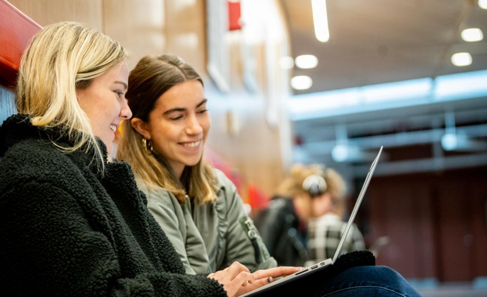 Two friends sharing a laptop