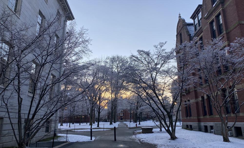 A sunrise over Harvard Yard on a winter morning, the same morning as the 2022 Housing Day.