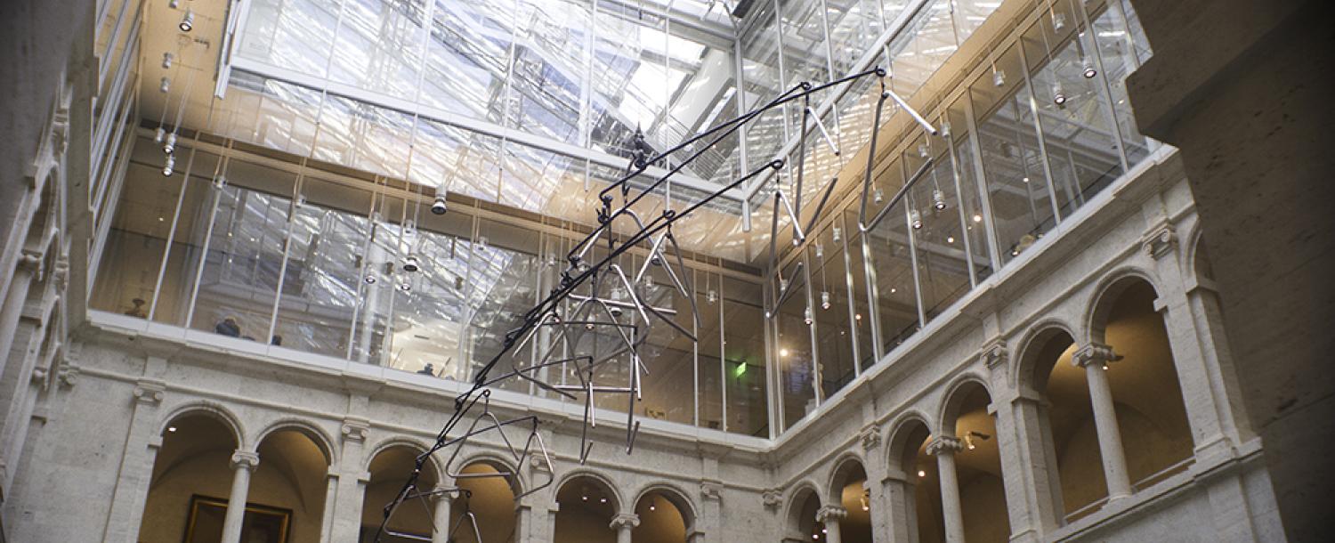 Museum Ceiling