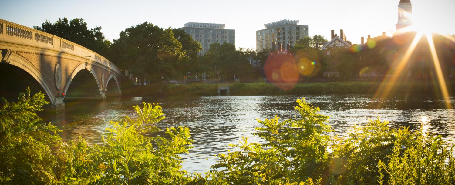 View of Campus from Charles River