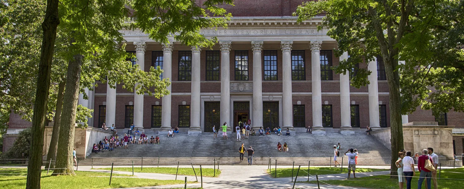 widener library