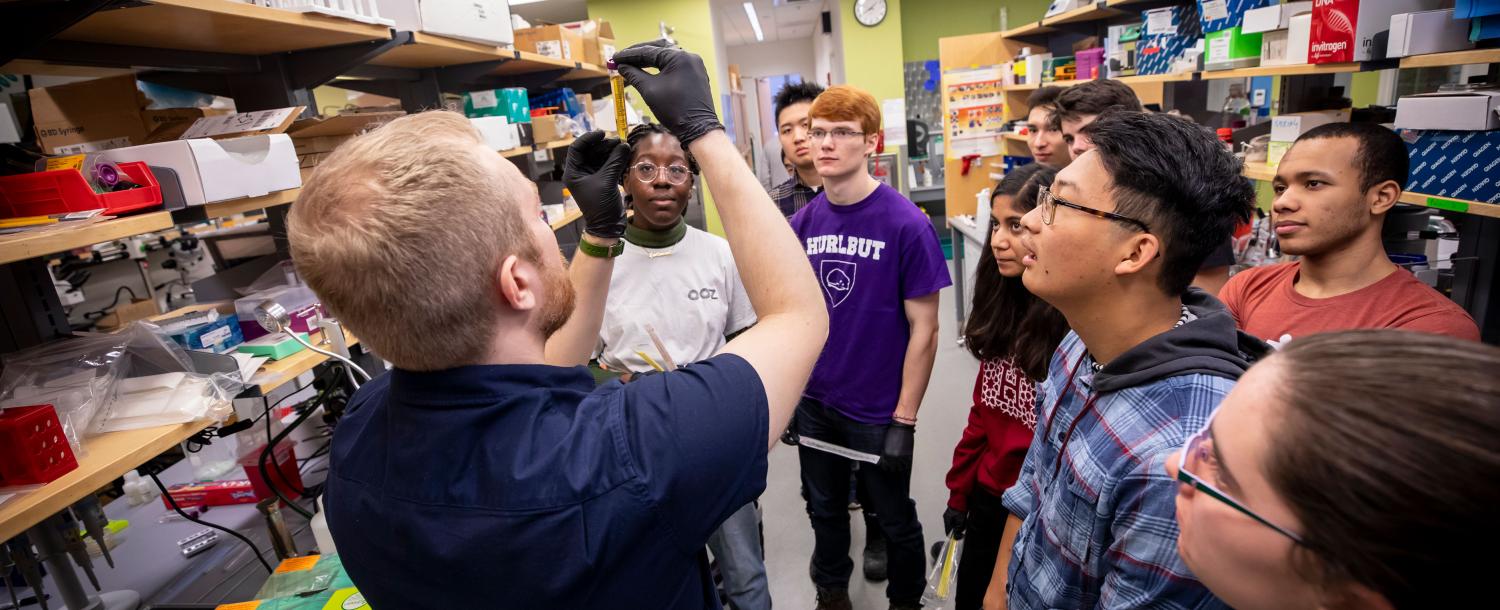 students during wintersession in the lab