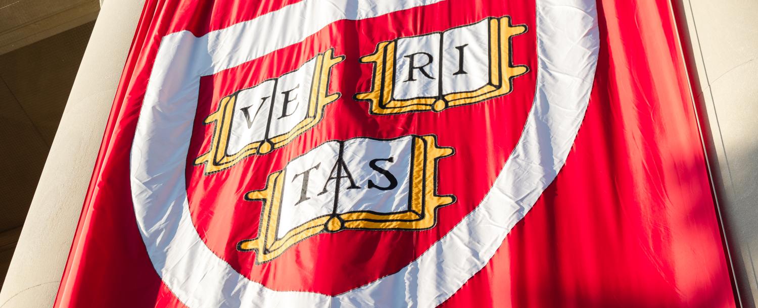 Veritas shield banner hanging on library columns