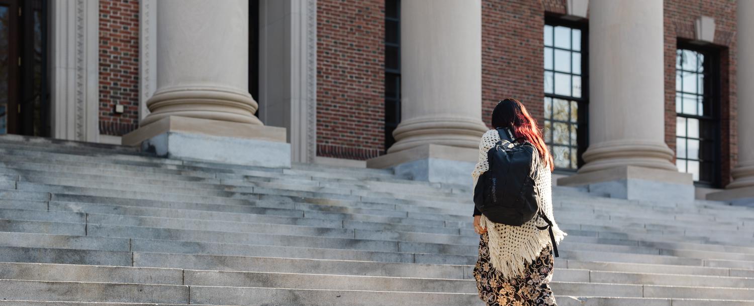 A student climbs Widener Library steps pn the way to study.